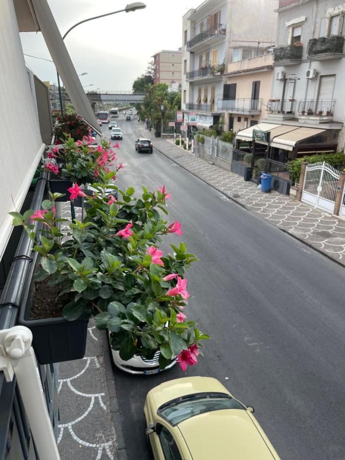 Bed and breakfast Central Pompeya